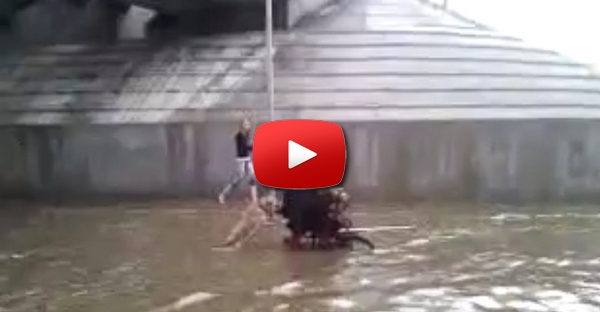 Cão empurra homem de cadeira de rodas preso numa inundação