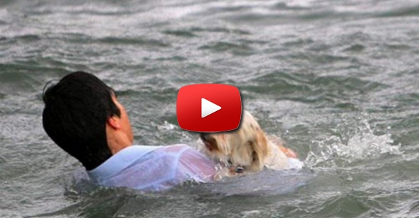 Pescadores russos salvam cão preso num bloco de gelo no meio do mar