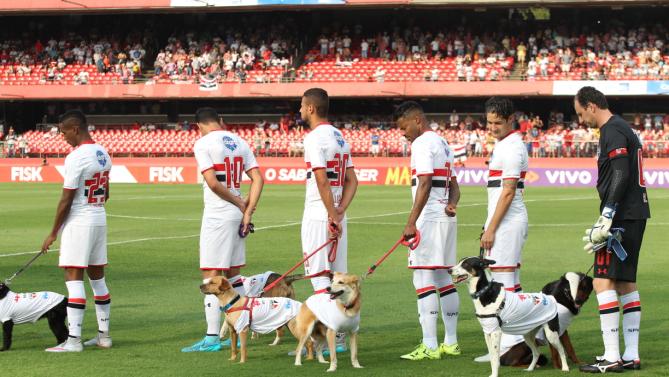 Equipa de futebol entre em campo com cães resgatados