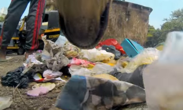 Vídeo comovente revela um dia na vida de um cão abandonado