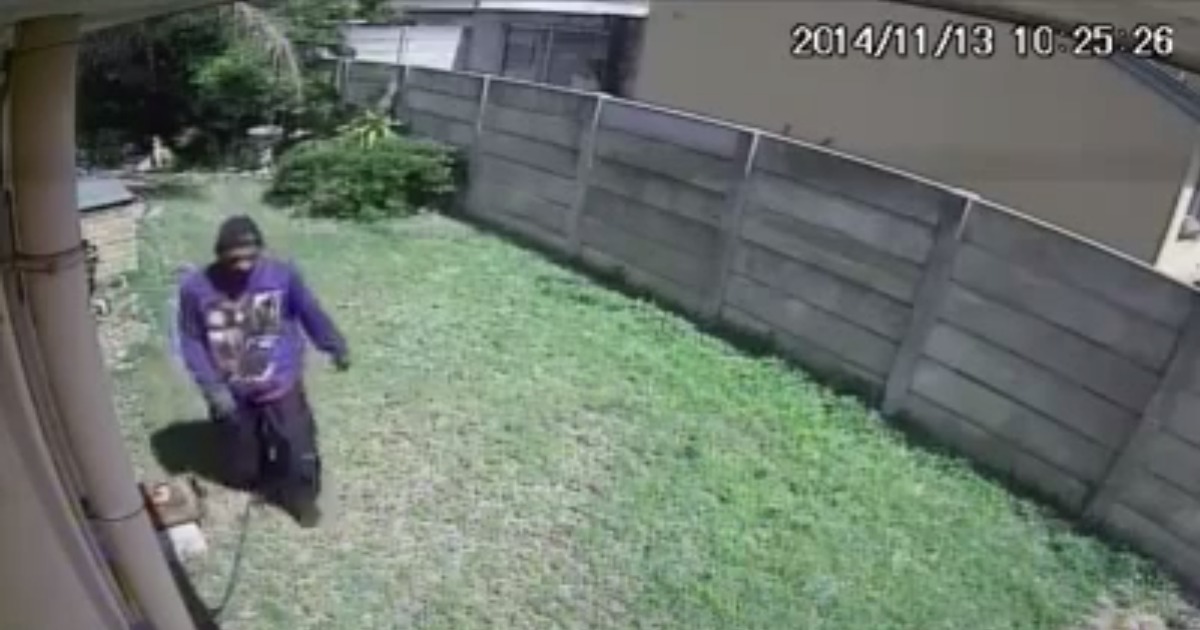 Vídeo de vigilância grava o momento em que um ladrão é afugentado por um cão feroz. As imagens estão a correr o mundo.