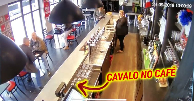 Cavalo invade café em França e causa o pânico