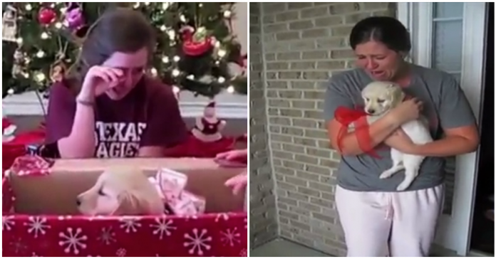 Adoráveis reações de pessoas que receberam animais como prenda de Natal