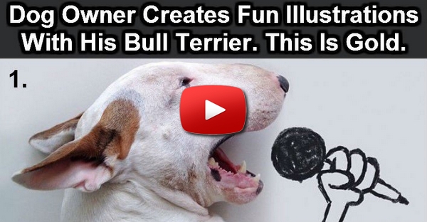 Este artista fez algumas ilustrações divertidas com o seu Bull Terrier