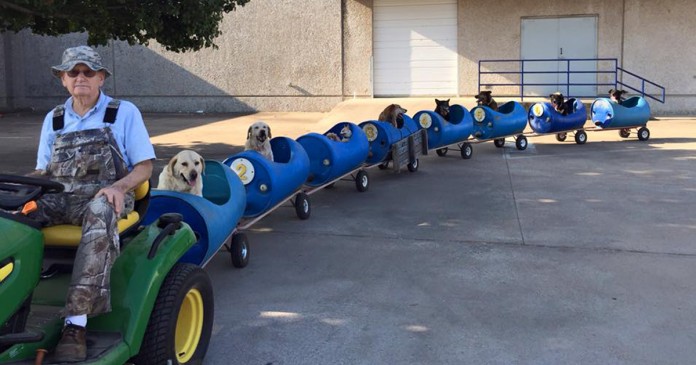 Reformado de 80 anos cria comboio para transportar cães que foram resgatados