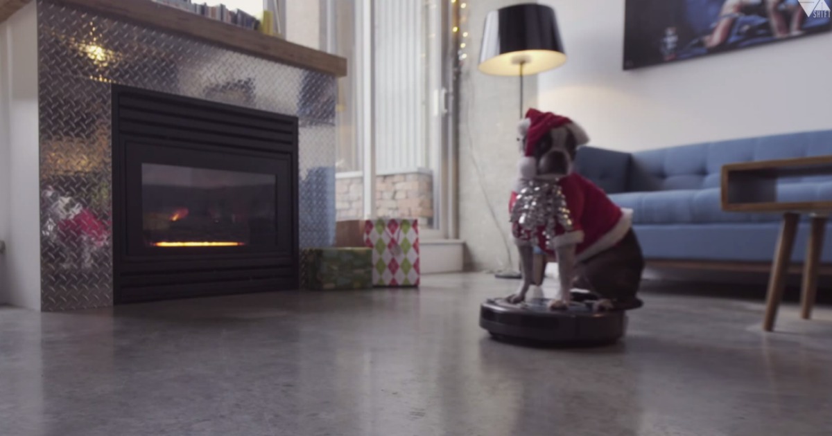 Este cão desejou Feliz Natal em cima de um aspirador automático Roomba