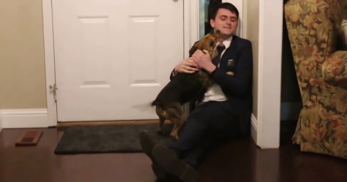 Depois de 2 anos longe de casa este homem foi recebido com muito amor pelo seu cão