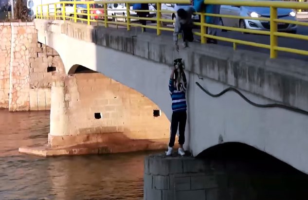 Bons samaritanos salvam cão abandonado debaixo de uma ponte na Sérvia
