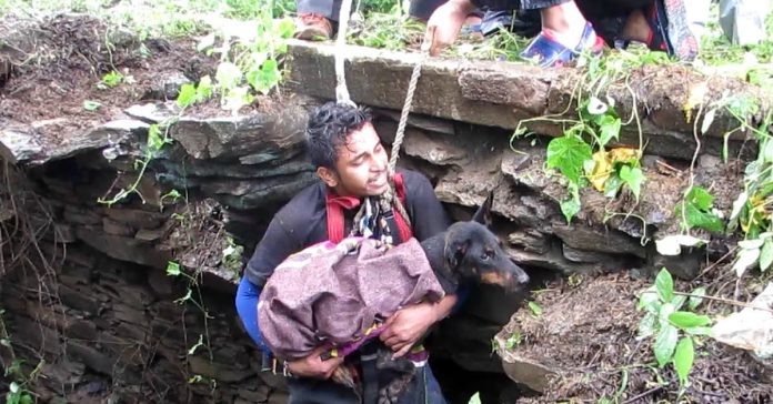 O resgate de um cão que caiu num poço