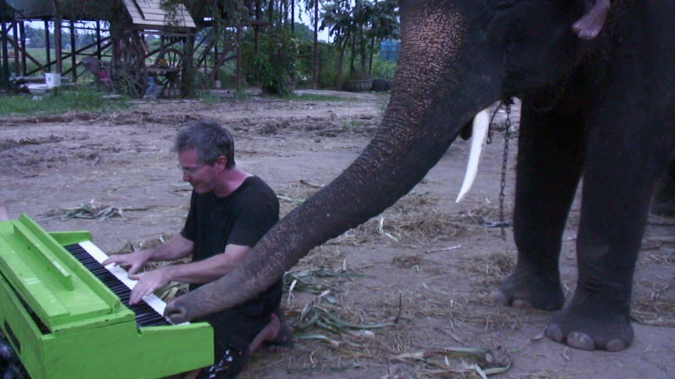 Já alguma vez viu um elefante a tocar piano?