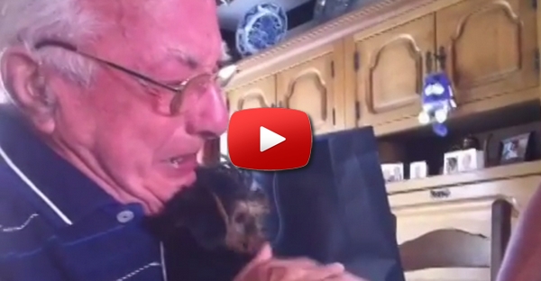 A reacção deste avô a receber um cachorrinho de presente é de partir o coração