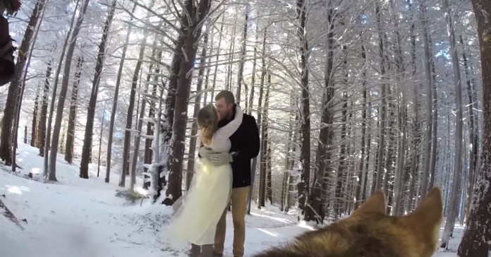 Noivos colocam GoPro no seu cão de estimação para filmar casamento