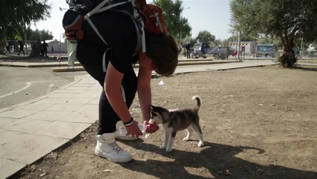 O jovem refugiado que não aceitou abandonar a sua cadela