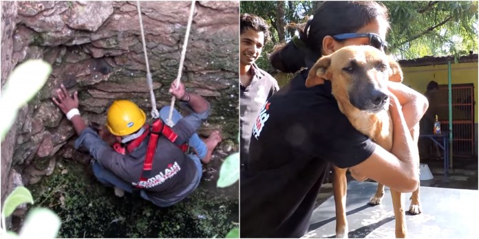 O salvamento de um cão que foi atirado a um poço na India