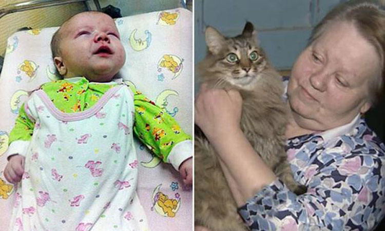 Gato salva bebé abandonado protegendo-o do frio