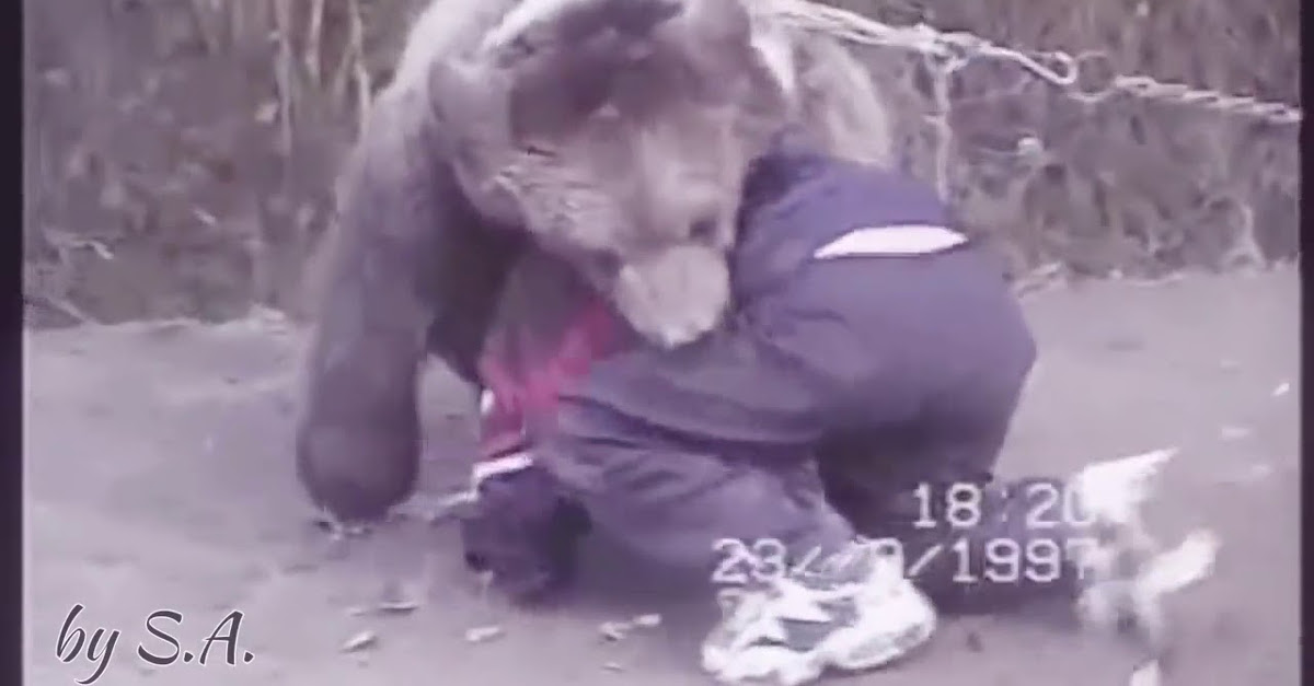 Vídeo mostra Khabib a lutar com um urso quando tinha 9 anos