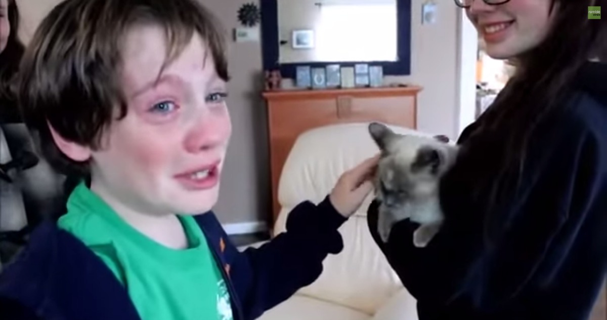 Miúdo fica em lágrimas depois da sua mãe encontrar o gato da família perdido