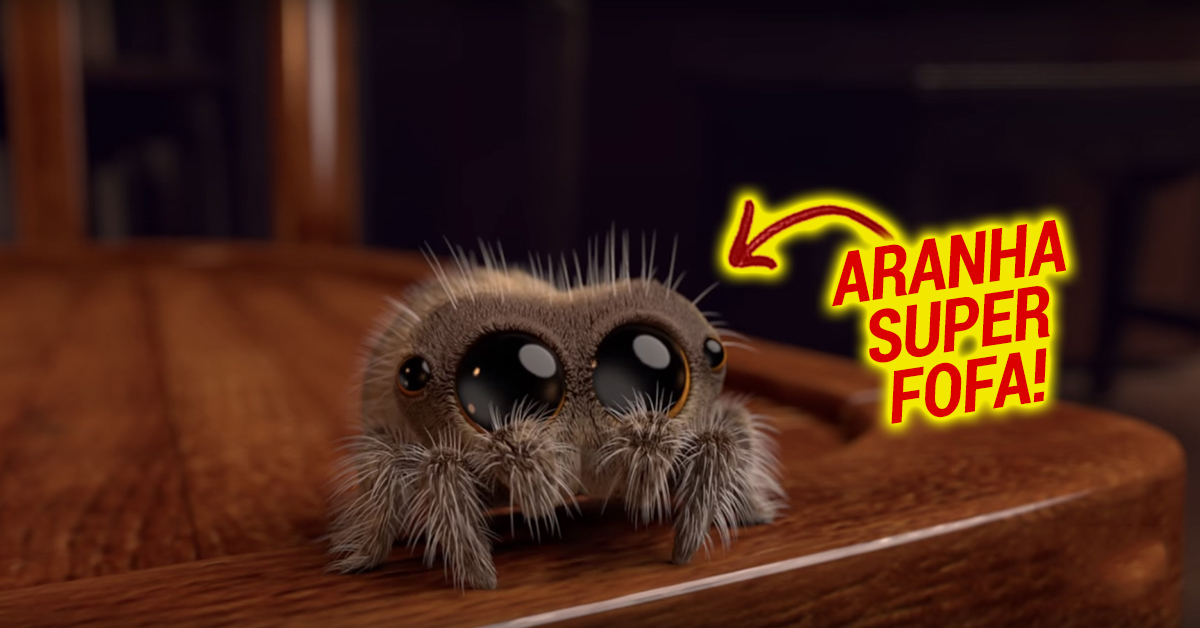 A aranha mais adorável de sempre… que todos esperam que tenha direito a um filme