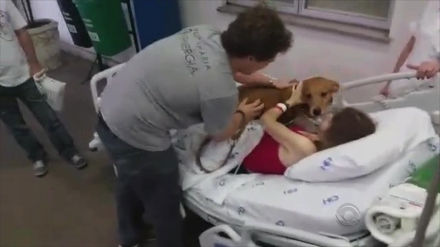 Mulher em fase terminal recebe visita do seu cão no hospital
