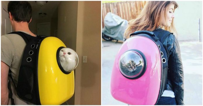 Esta é a mochila que transforma o teu gato num astronauta