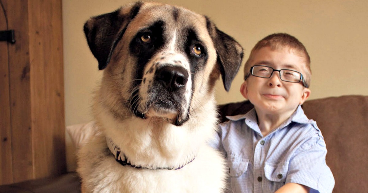A história de uma amizade incondicional entre um menino e um cão