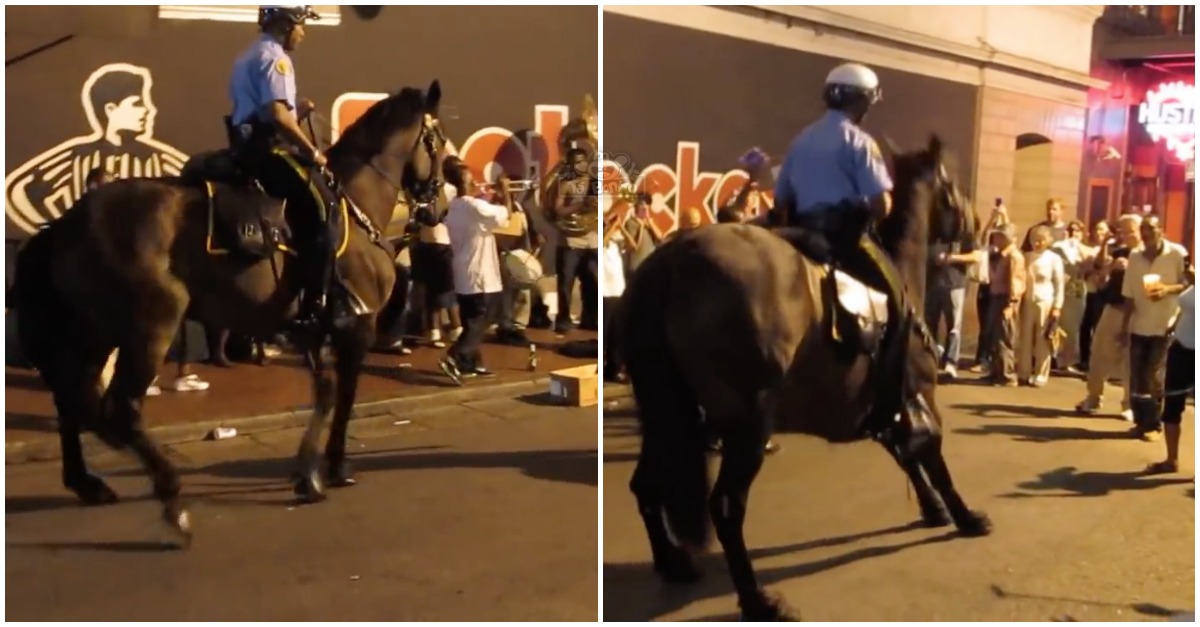 Polícia dá show em cavalo ao som de música nas ruas de Nova Orleães