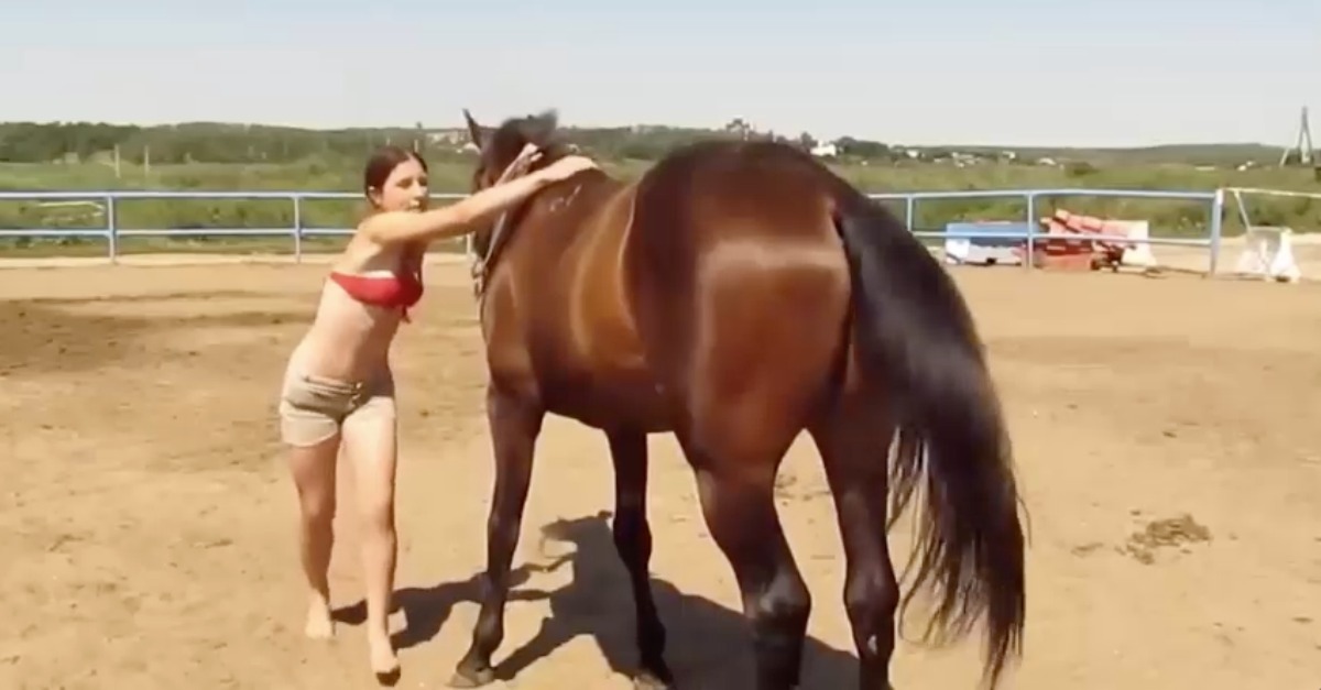 O momento em que um cavalo entende os problemas de uma mulher