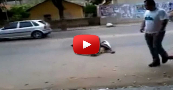 Cães protegem dono bêbado caído no meio da estrada