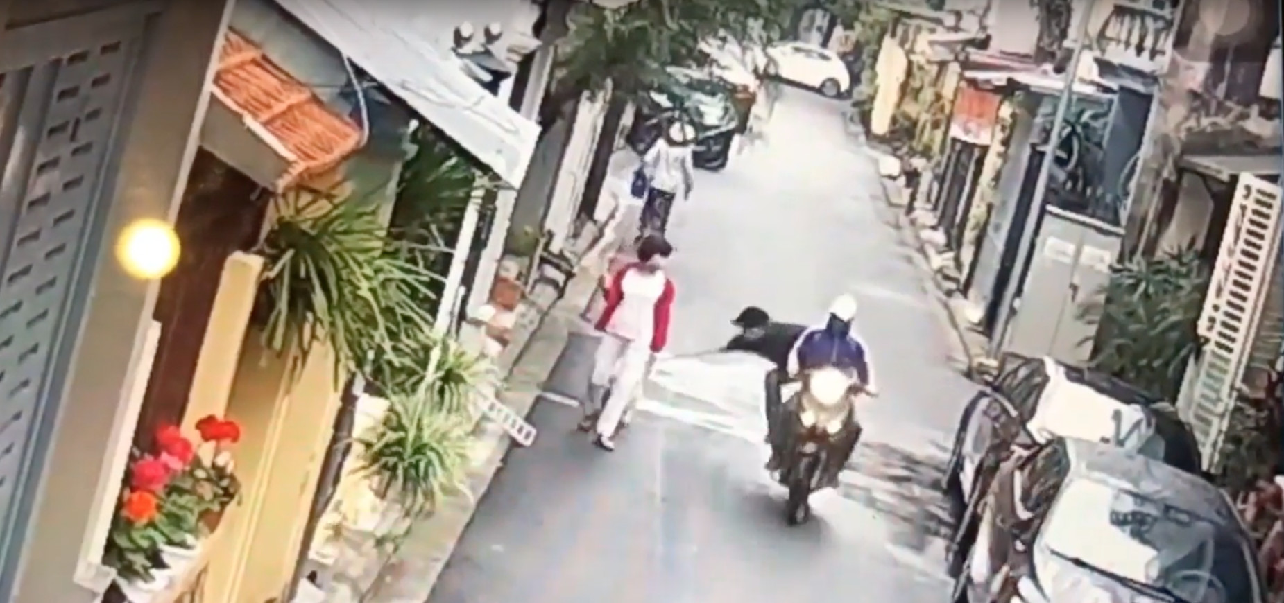 Bandidos arrancam cão da dona para ser vendido em mercado de carne