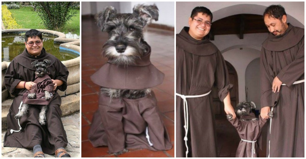 Cão adotado por monges torna-se uma sensação na Internet