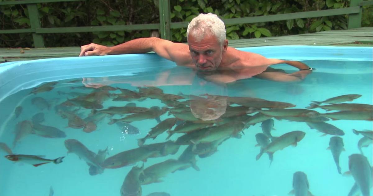 O que acontece se entrares numa piscina com uma centena de piranhas?