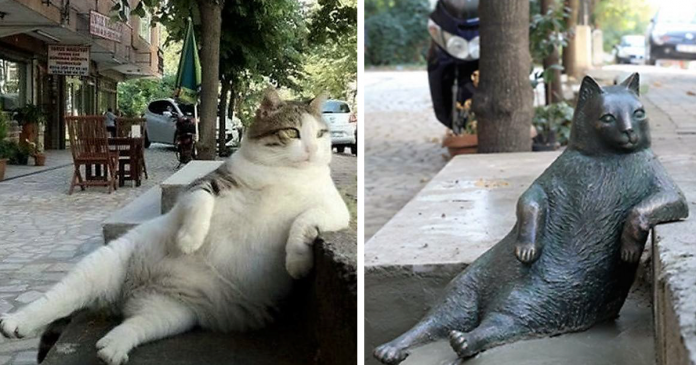 O gato mais famoso da Internet tem agora uma estátua em Istambul