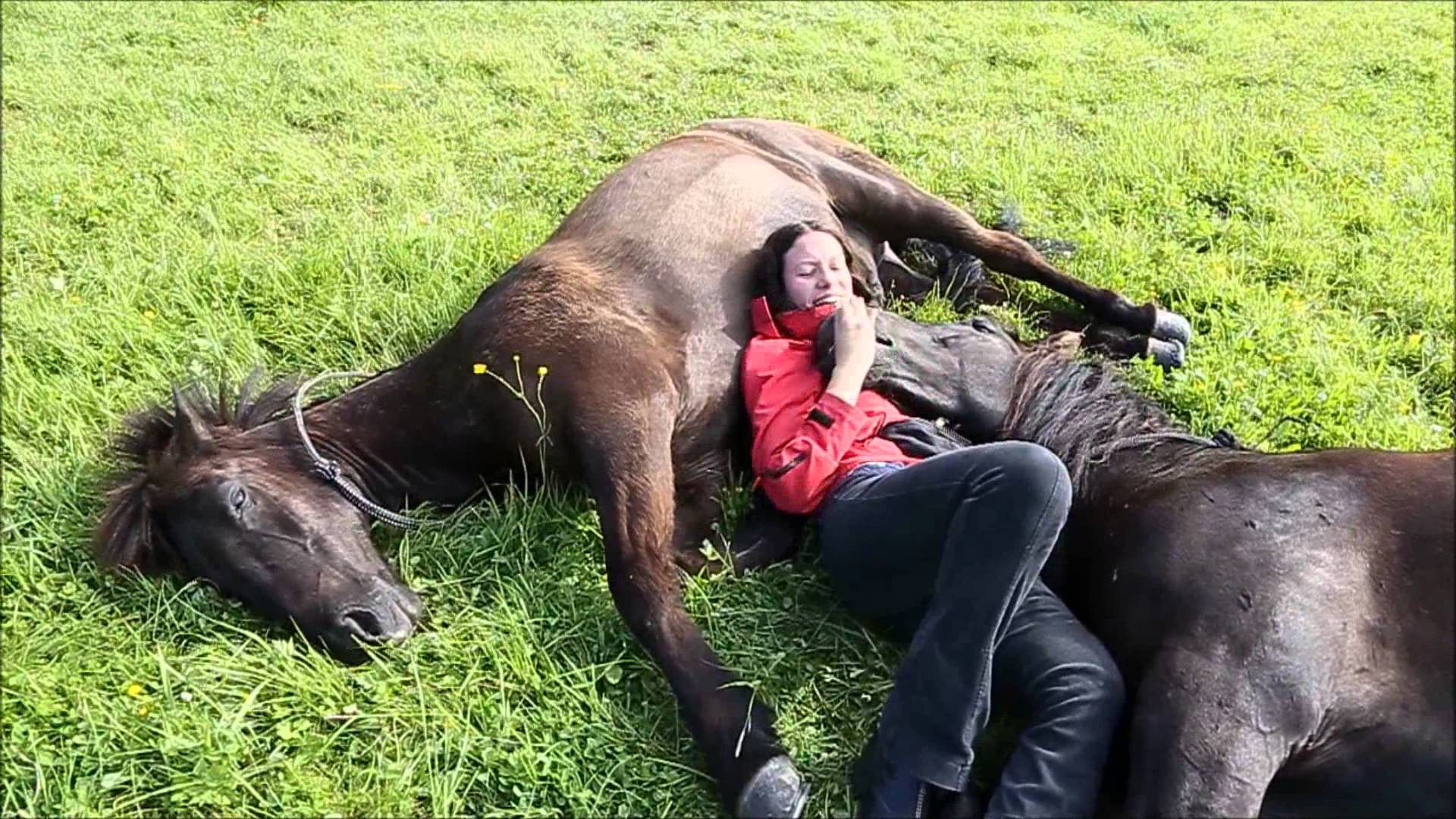 Esta senhora gosta de se deitar com os seus cavalos... e a reacção deles é inacreditável!