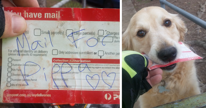 Cadela gosta tanto de receber correspondência que até o carteiro lhe escreve cartas quando não há correio