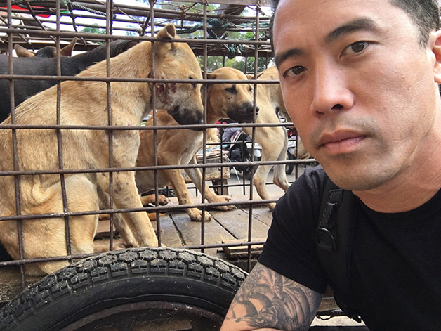 Este homem arriscou a vida para salvar mil cães do Festival de Carne chinês