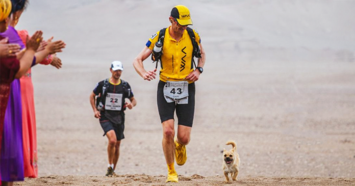 Cadela segue ultramaratonista durante mais de 100 quilómetros