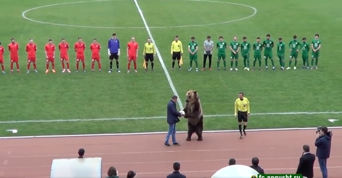Urso entrega bola de jogo a árbitro em partida de futebol na Rússia... WTF!