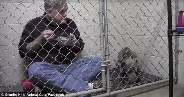 Veterinário sentou-se e comeu dentro da jaula para confortar cadelinha assustada