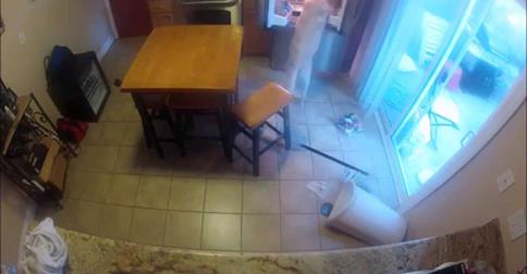 Um ladrão ia todos os dias ao frigorifico roubar comida então colocaram uma câmara para ver quem era!