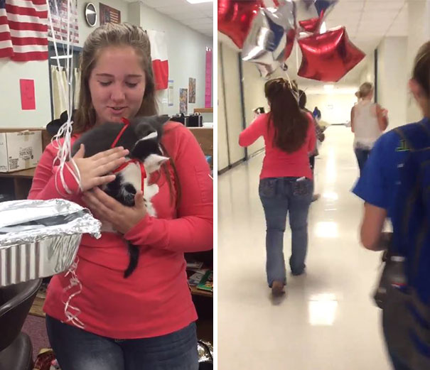 A professora perdeu o gatinho de estimação então os alunos surpreenderam-na com dois gatinhos resgatados. Emocionante!