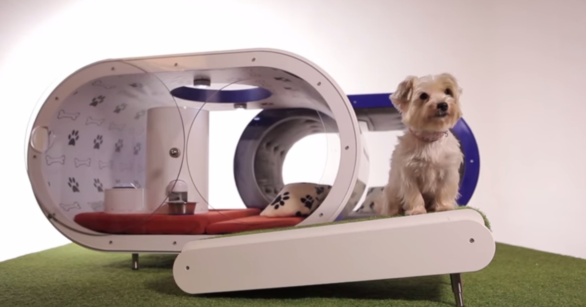 Samsung cria a casota para cães do futuro