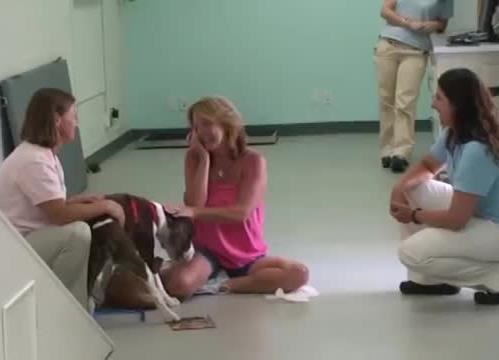 Depois de 3 anos, doutores realizaram um milagre a este cão paralisado