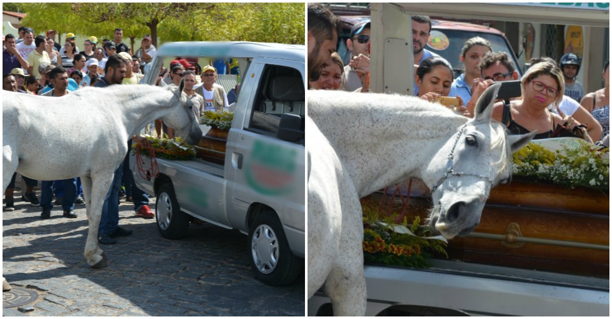 Cavalo comove multidão com despedida emocionante no funeral do dono