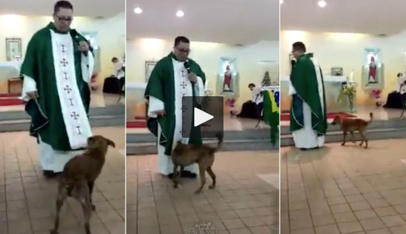 Cão interrompe missa para puxar batina do padre durante o sermão