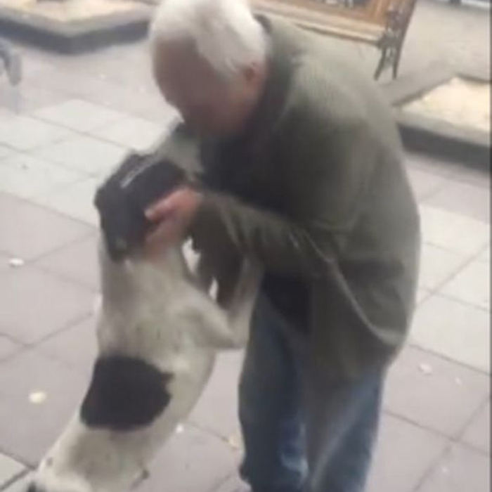 Homem reencontra cão perdido após três anos nas ruas da Geórgia