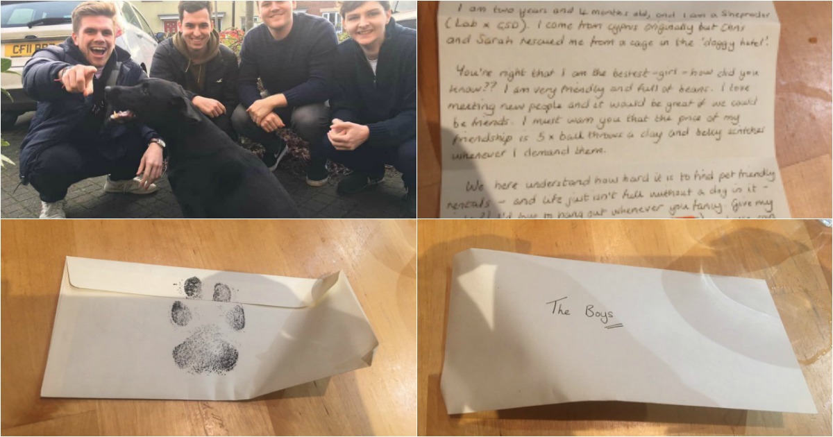 Jovens pedem para passear cão dos vizinhos e receberam carta... do animal