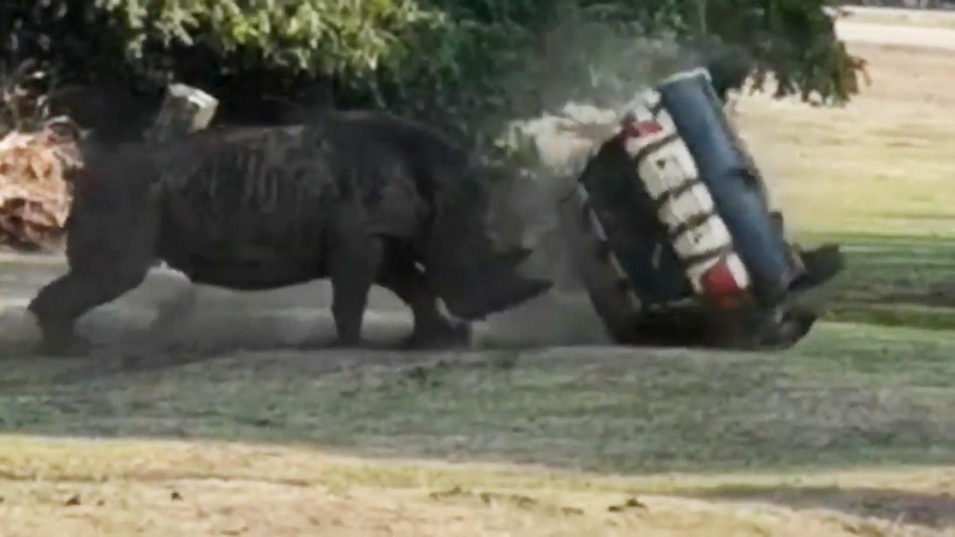 Rinoceronte vira carro três vezes em jardim zoológico na Alemanha