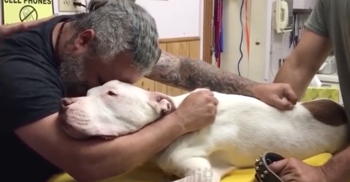 A despedida entre um homem e o seu cão após 14 anos juntos