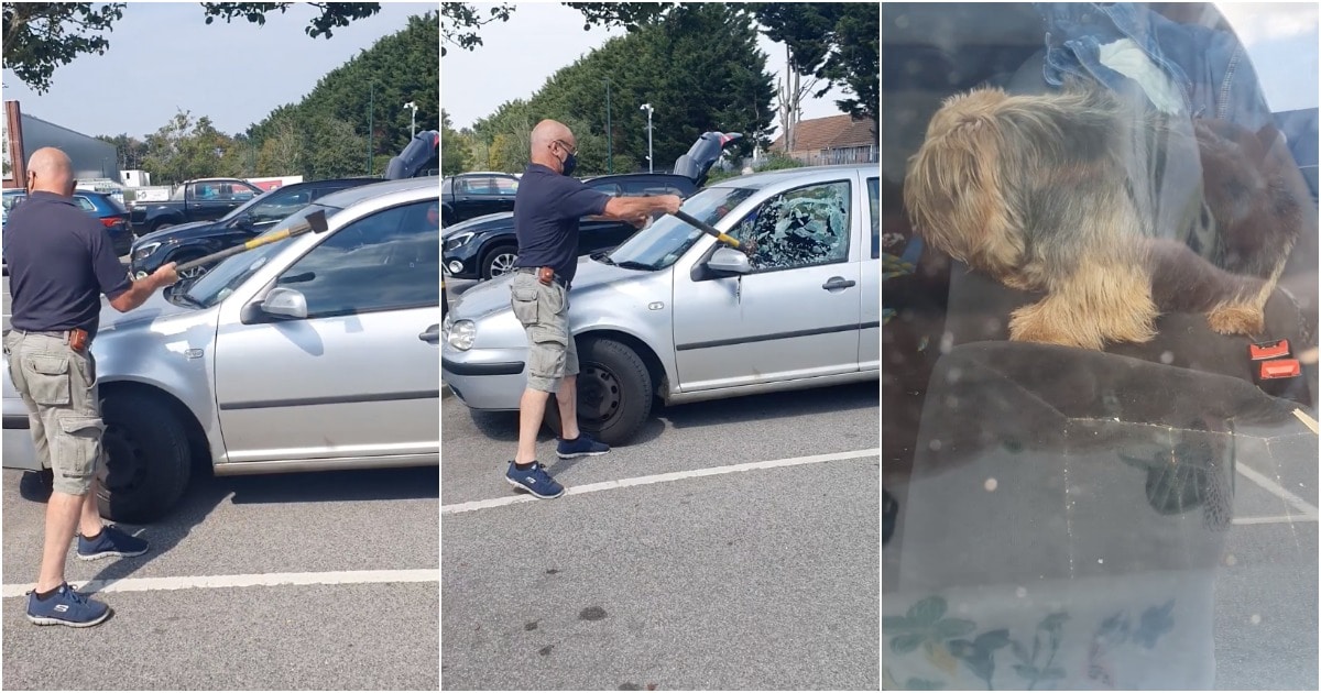 Homem parte vidro para salvar cão ofegante preso num carro com 34ºC