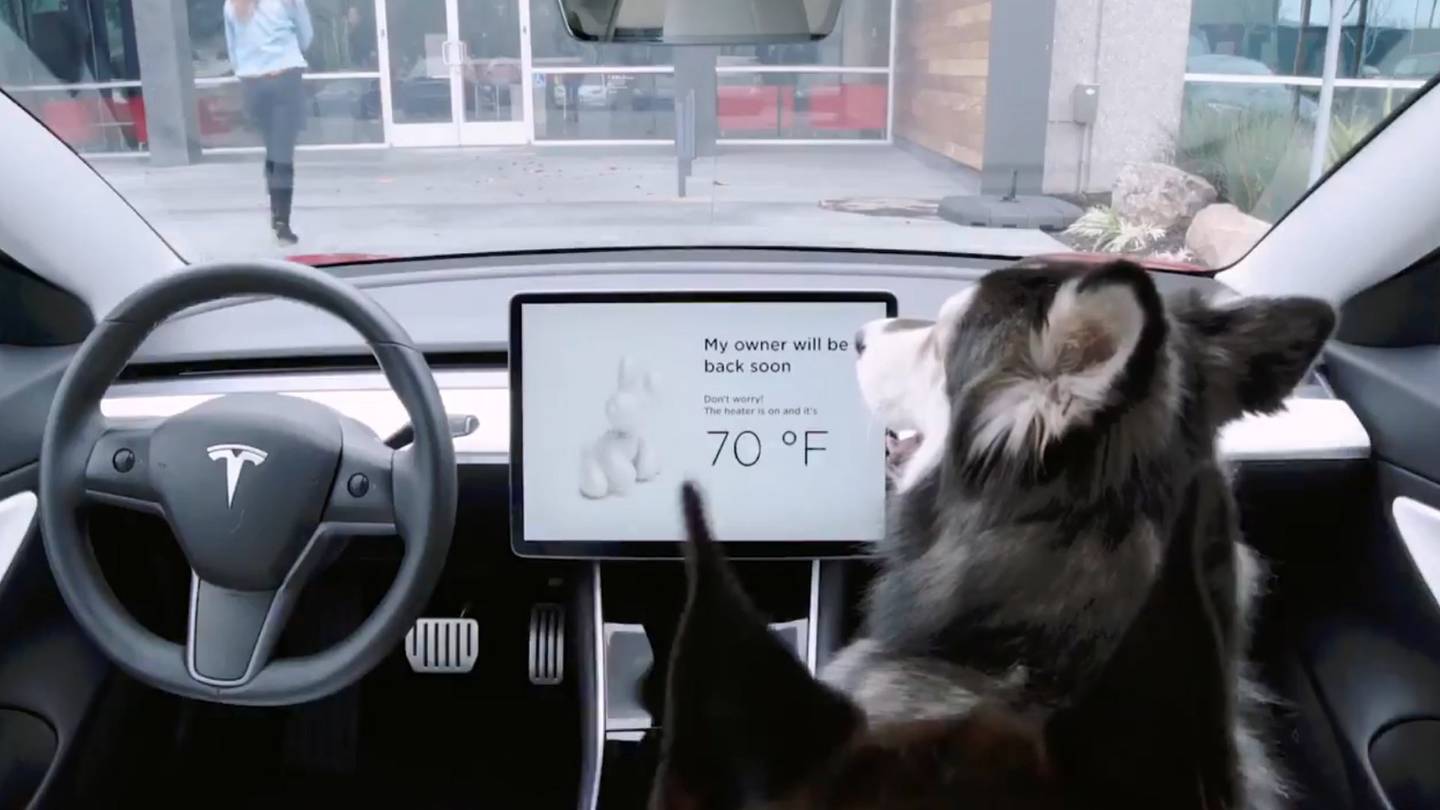 Tesla lança MODO CÃO nos seus carros para manter os animais confortáveis